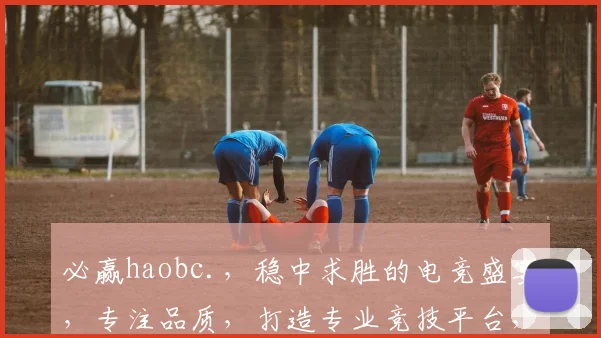 必赢haobc.，稳中求胜的电竞盛宴，专注品质，打造专业竞技平台，尽享游戏激情
