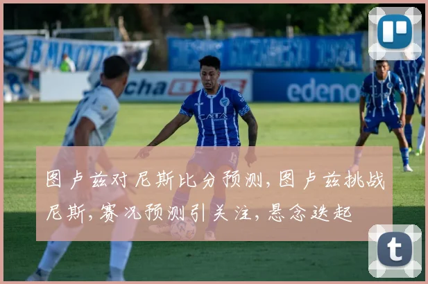 图卢兹对尼斯比分预测,图卢兹挑战尼斯,赛况预测引关注,悬念迭起