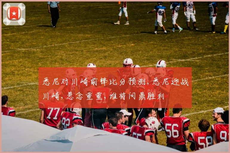 悉尼对川崎前锋比分预测,悉尼迎战川崎,悬念重重,谁将问鼎胜利